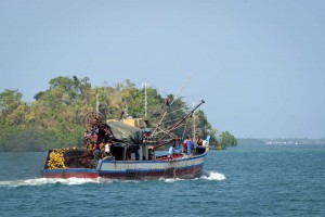 20120510_scarborough_fishing-afp